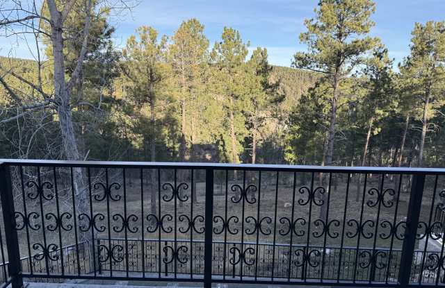 13646 Twisted Pines Trail - 1 Gallery 3