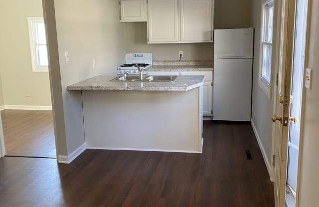 128 Richards St - 128 Richard Street, Geneva, IL 60134