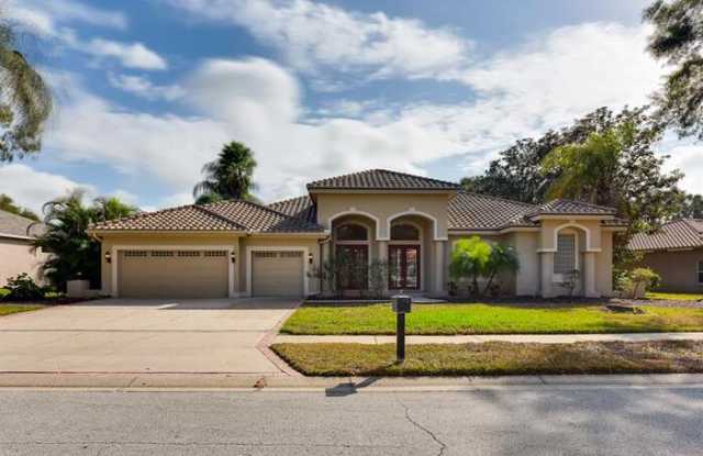 4583 Juniper Drive - 4583 Juniper Drive, East Lake, FL 34685