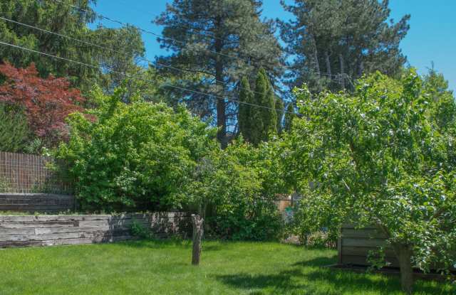 4 Bed, 2 bath on Military Hill! Gallery 3