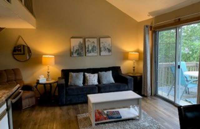 2 Bedroom 2 Bath loft Apartment in Branson MO - ASK ABOUT OUR MOVE IN SPECIAL Gallery 3