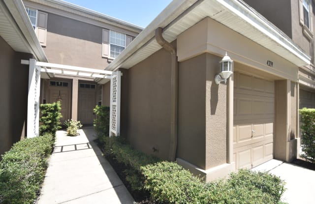 4239 Key Thatch Dr - 4239 Key Thatch Drive, East Lake-Orient Park, FL 33610