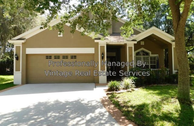 6237 Gannetdale Drive - 6237 Gannetdale Drive, Fish Hawk, FL 33547