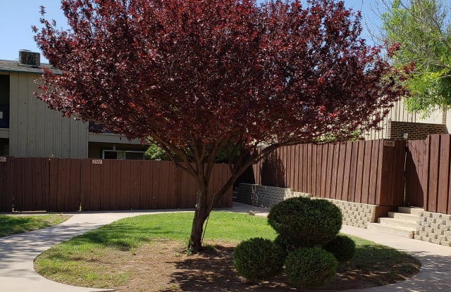 1007 North Grandview Avenue - 1007 - 1007 North Grandview Avenue, Odessa, TX 79761