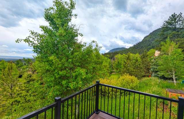Fully Remodled Cabin in Palmer Lake with Amazing Views Gallery 4