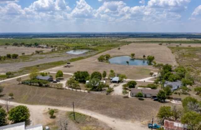 99 Roots Road photos photos