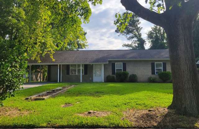 Cozy Must See Home! - 119 King Street, Jacksonville, NC 28540