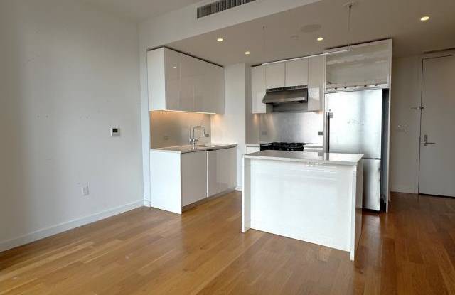 436 Albee Square West - 436 Albee Square West, Brooklyn, NY 11201