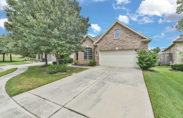 10207 Eagle Hollow Drive - 10207 Eagle Hollow Drive, Atascocita, TX 77338