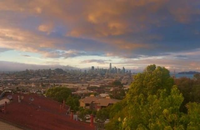 12 Hillview Ct - 12 Hillview Court, San Francisco, CA 94124