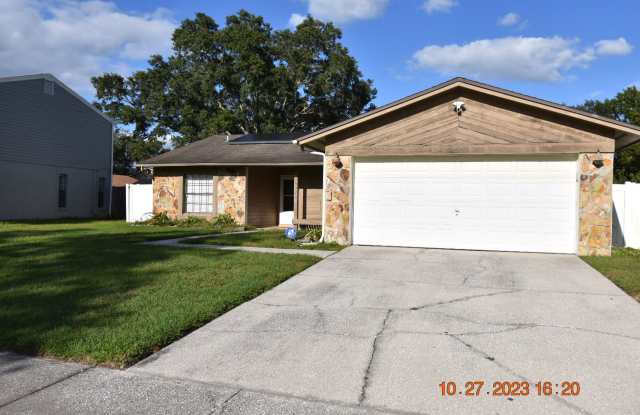 15925 Mystic Way - 15925 Mystic Way, Northdale, FL 33624