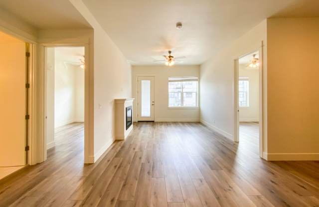 Rosa B photos photos