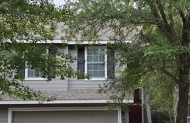119 Anise Tree Plaza - 119 Anise Tree Place, The Woodlands, TX 77382