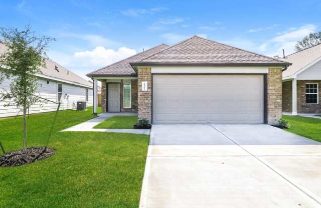 22311 Red Knot Run - 22311 Red Knot Run, Montgomery County, TX 77372