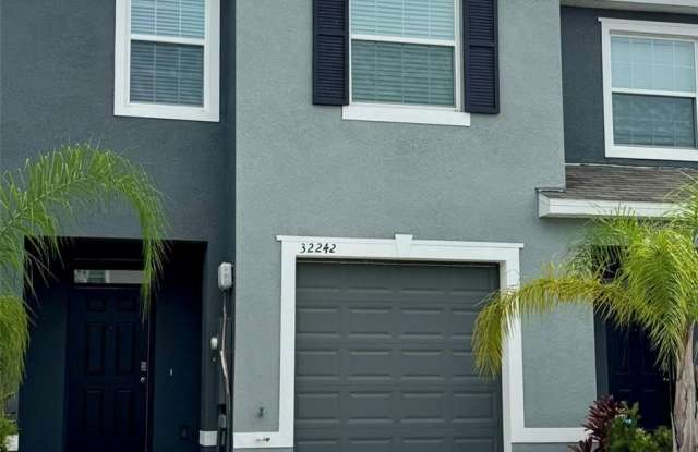 32242 TURTLE GRACE LOOP - 32242 Turtle Grace Loop, Wesley Chapel, FL 33545