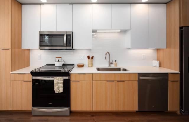 Starling photos photos