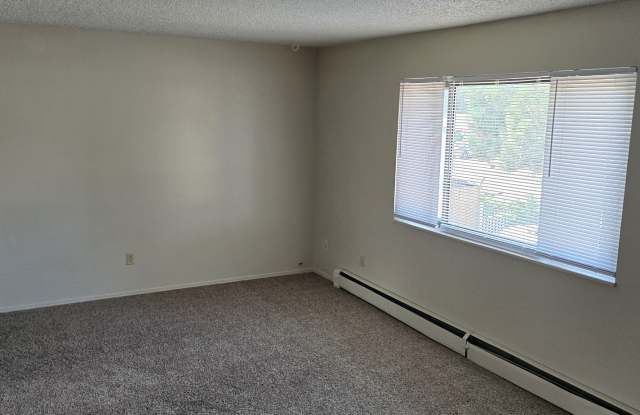 1310 Anita St photos photos