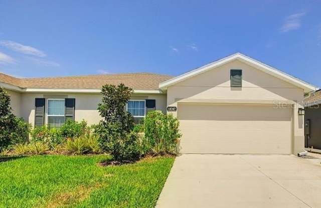 18347 TURNING LEAF CIRCLE - 18347 Turning Leaf Circle, Pasco County, FL 34638