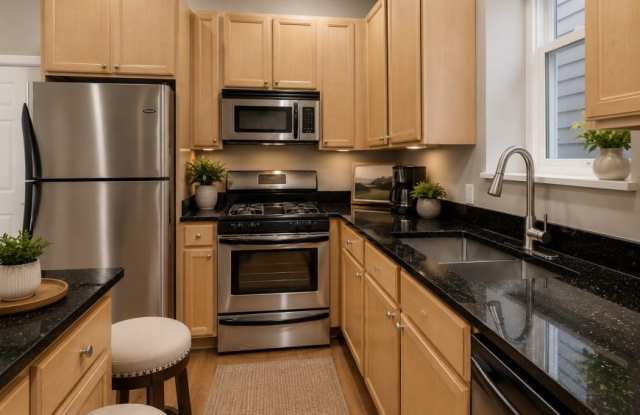 1719 W Ellen St photos photos