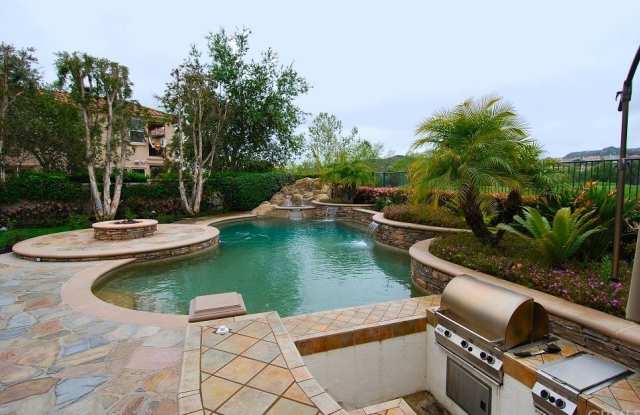 11 Elliot Lane - 11 Elliot Lane, Coto de Caza, CA 92679