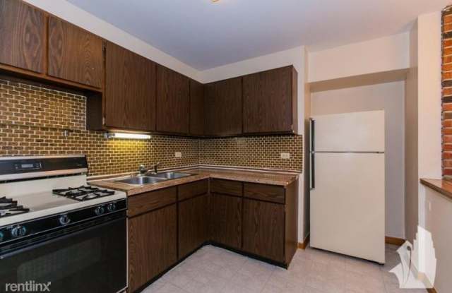 868 W Lill Ave B3 - 868 West Lill Avenue, Chicago, IL 60614