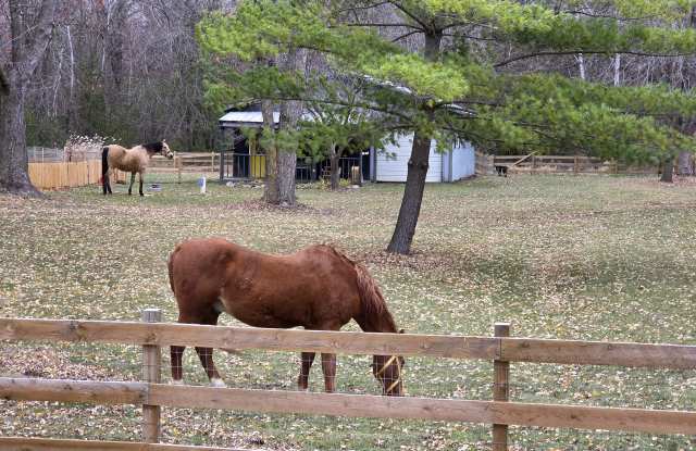 9500 Fox Valley Dr photos photos