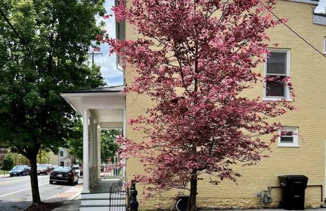 321 N BRADDOCK Street photos photos 321 N BRADDOCK Street photos photos