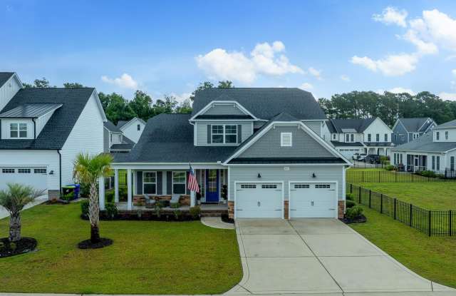 61 Sailor Sky Way - 61 Sailor Sky Way, Pender County, NC 28443