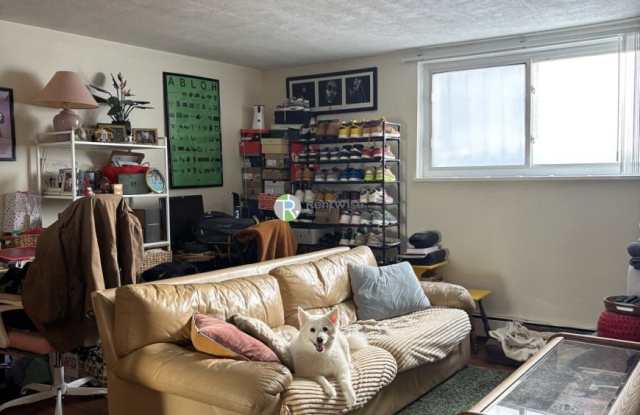 71 Colborne Rd. photos photos