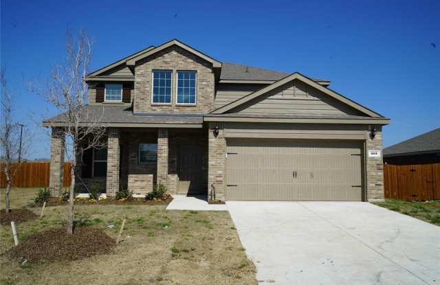 203 Cyrus Street - 203 Cyrus St, Collin County, TX 75409