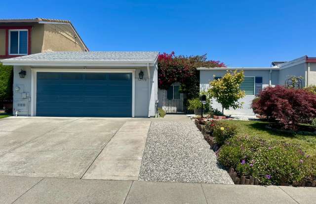 Gorgeous 4 BEDROOM 2 BATH ! photos photos