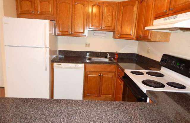 1405 Harbor View Drive Gallery 3