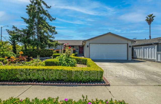 4840 Coco Palm Dr photos photos