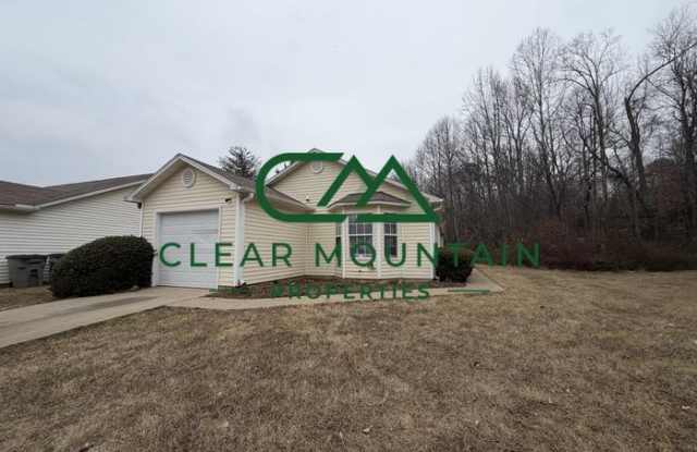 17 Swamp Fire Court - 17 Swamp Fire Court, Greenville County, SC 29611