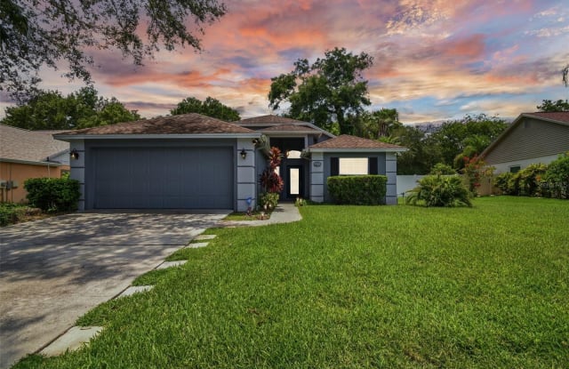 3018 SPRAWLING OAKS PLACE - 3018 Sprawling Oaks Place, Valrico, FL 33596