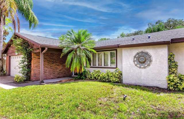539 HAMMOCK DRIVE - 539 Hammock Drive, Palm Harbor, FL 34683