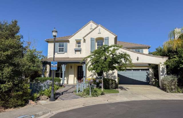 Executive Style Home in San Ramon Windemere photos photos
