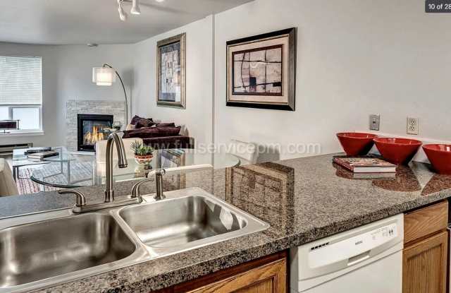 Spacious, Modern Northgate Condo w/ gas fireplace, FREE secure Parking, Pool & Light Rail Access Gallery 3