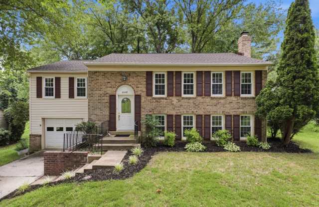 8747 Arley Dr Gallery 3