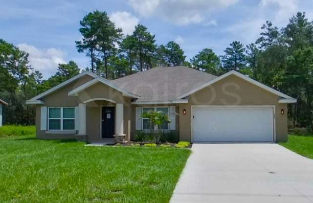 409 Fisher Road - 409 Fisher Road, Marion County, FL 32179
