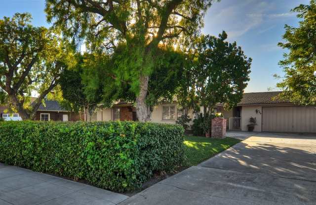 Centrally located in the heart of Orange photos photos