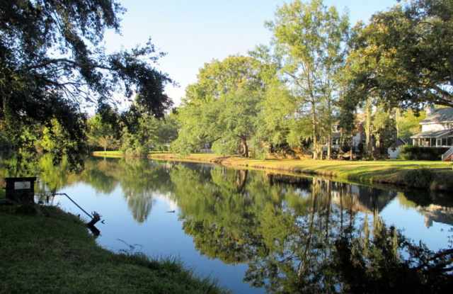 2569 Marsh Creek Drive Gallery 2