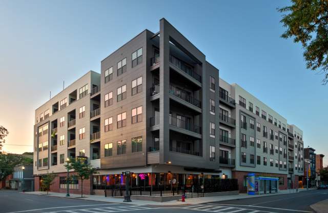 Vicina photos photos