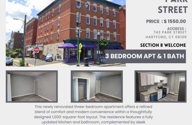 743 Park Street, Apt 4E photos photos