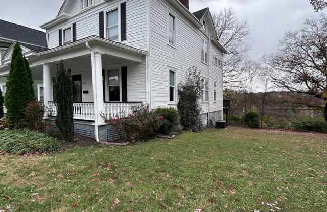 Renovated Victorian with historic touches & huge yard! Gallery 3