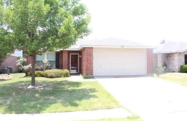 9105 Delano Court - 9105 Delano Court, Fort Worth, TX 76244