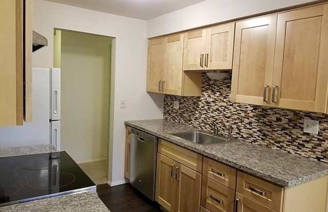 Great Lake Sammamish condo photos photos