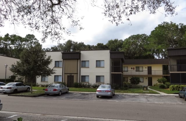 11712 Raintree Lake Ln Apt C - 11712 Raintree Lake Lane, Temple Terrace, FL 33617