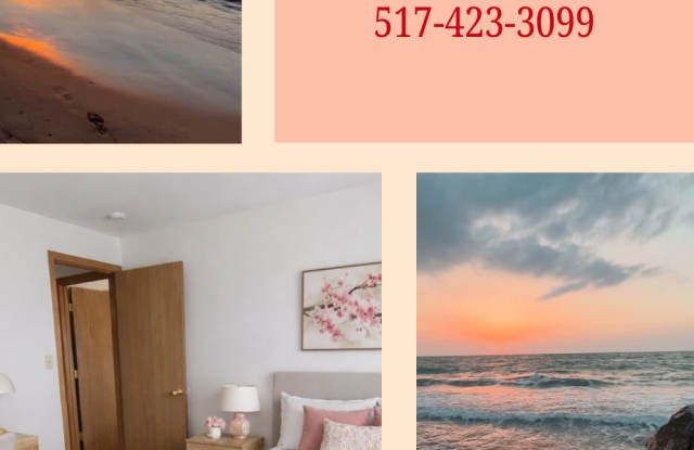 1084 E Chicago Blvd photos photos 1084 E Chicago Blvd photos photos