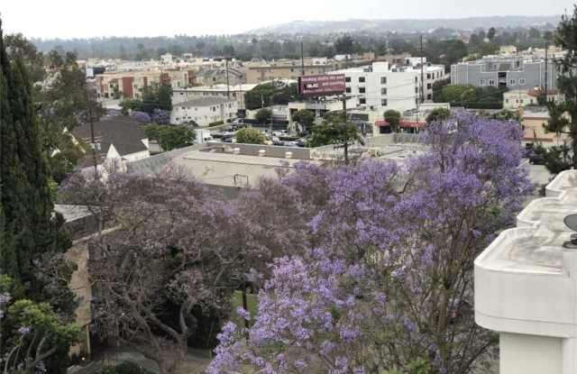 1647 Veteran Avenue Gallery 3
